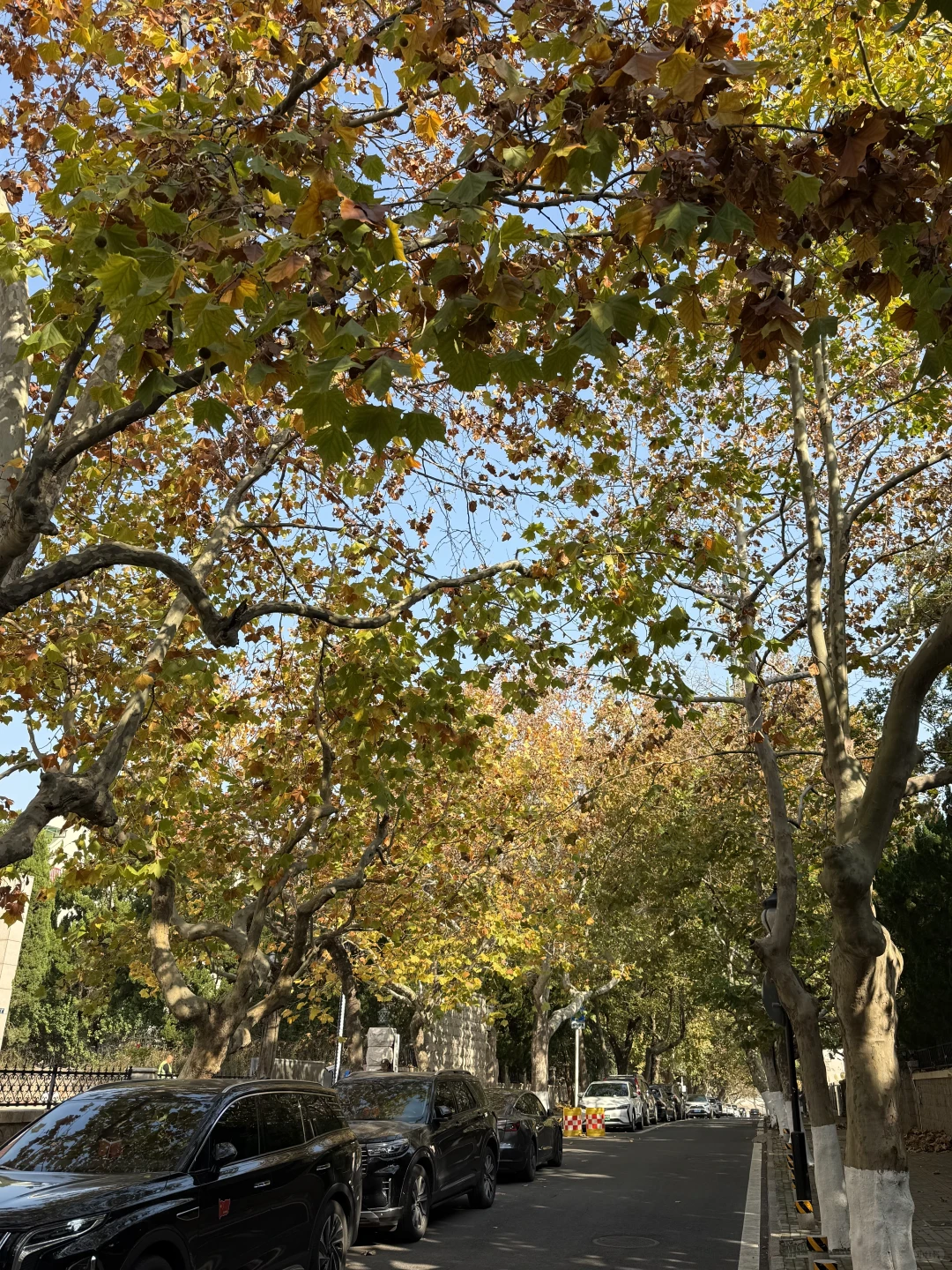 在青岛海边喝杯咖啡