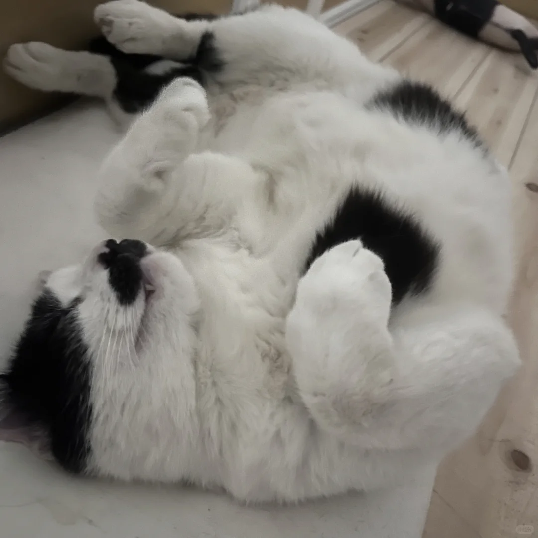 男明星私房照公开