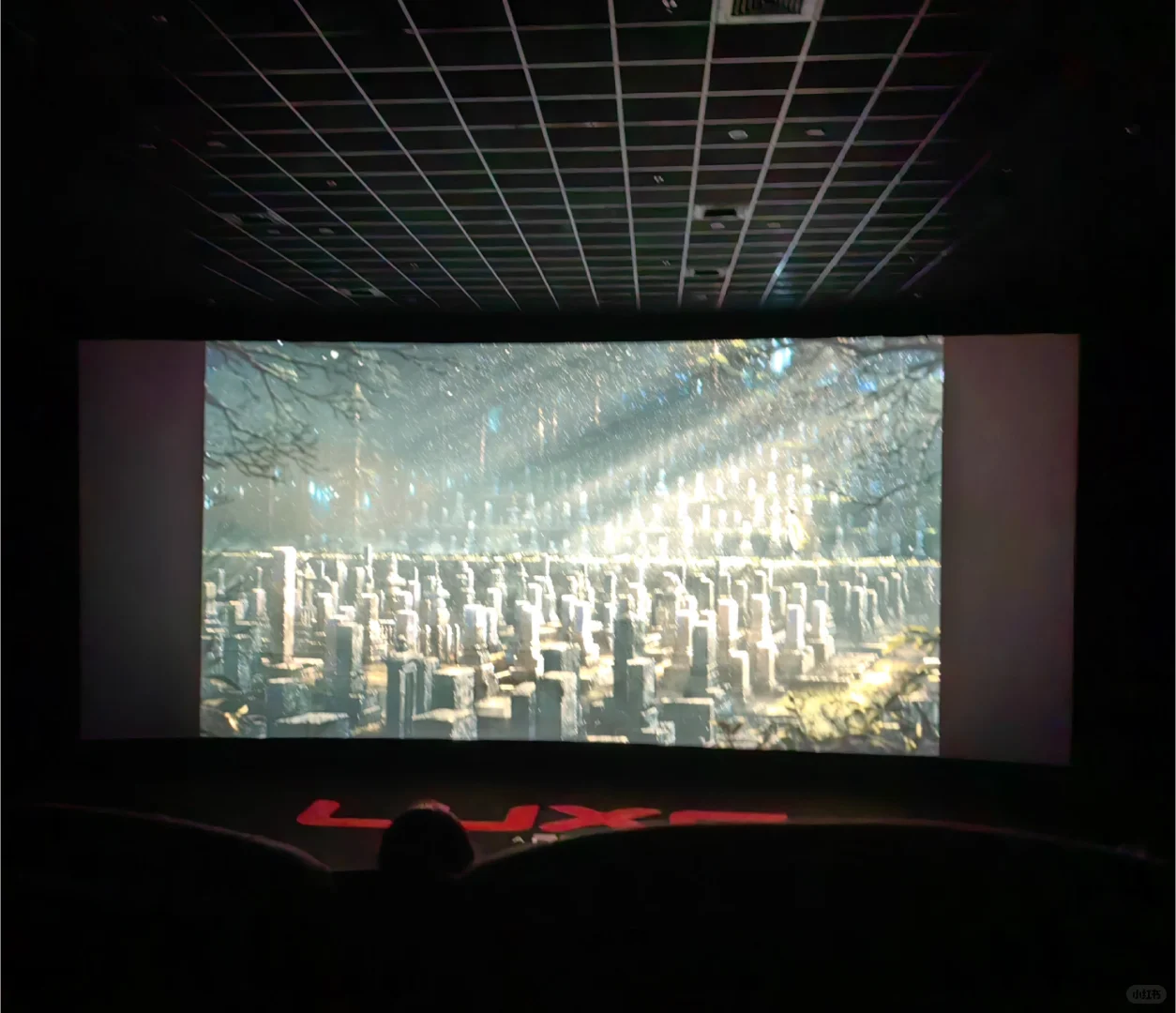 我们哭死，他们懵死