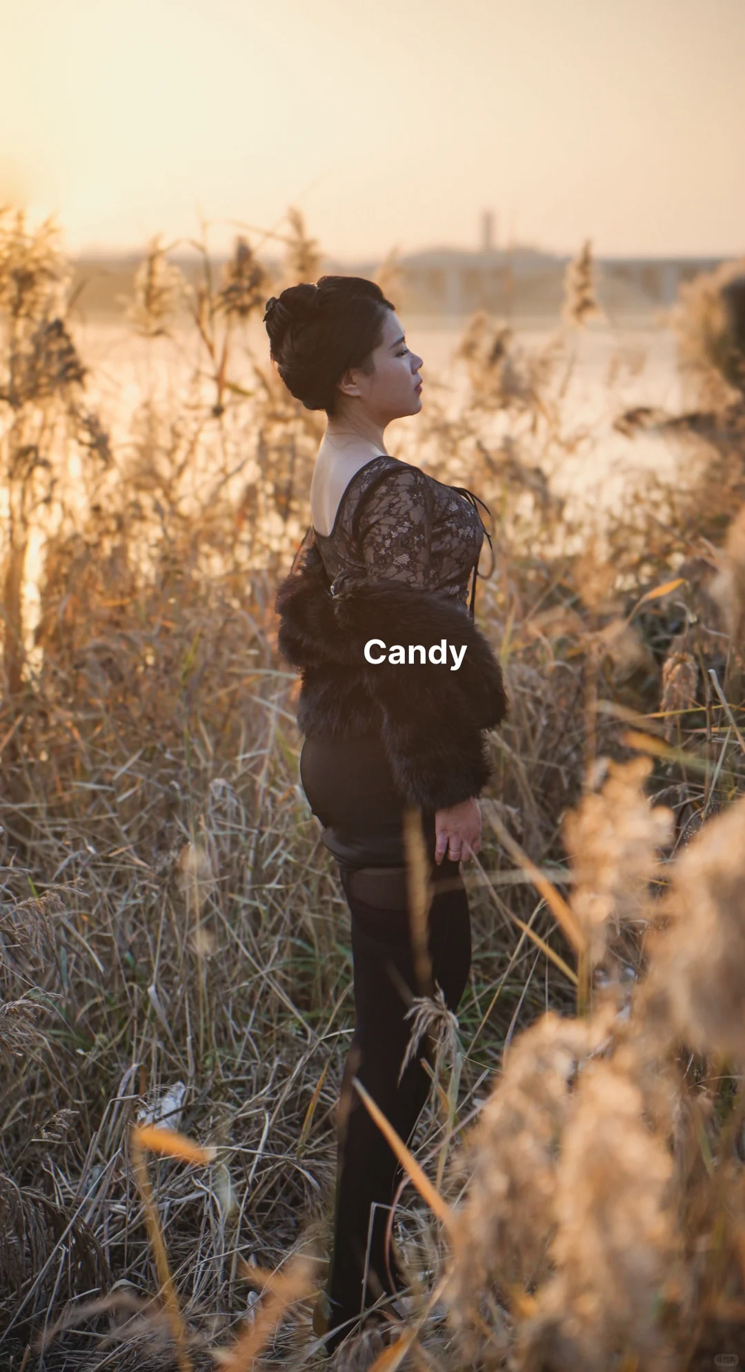 倘若南风知我意