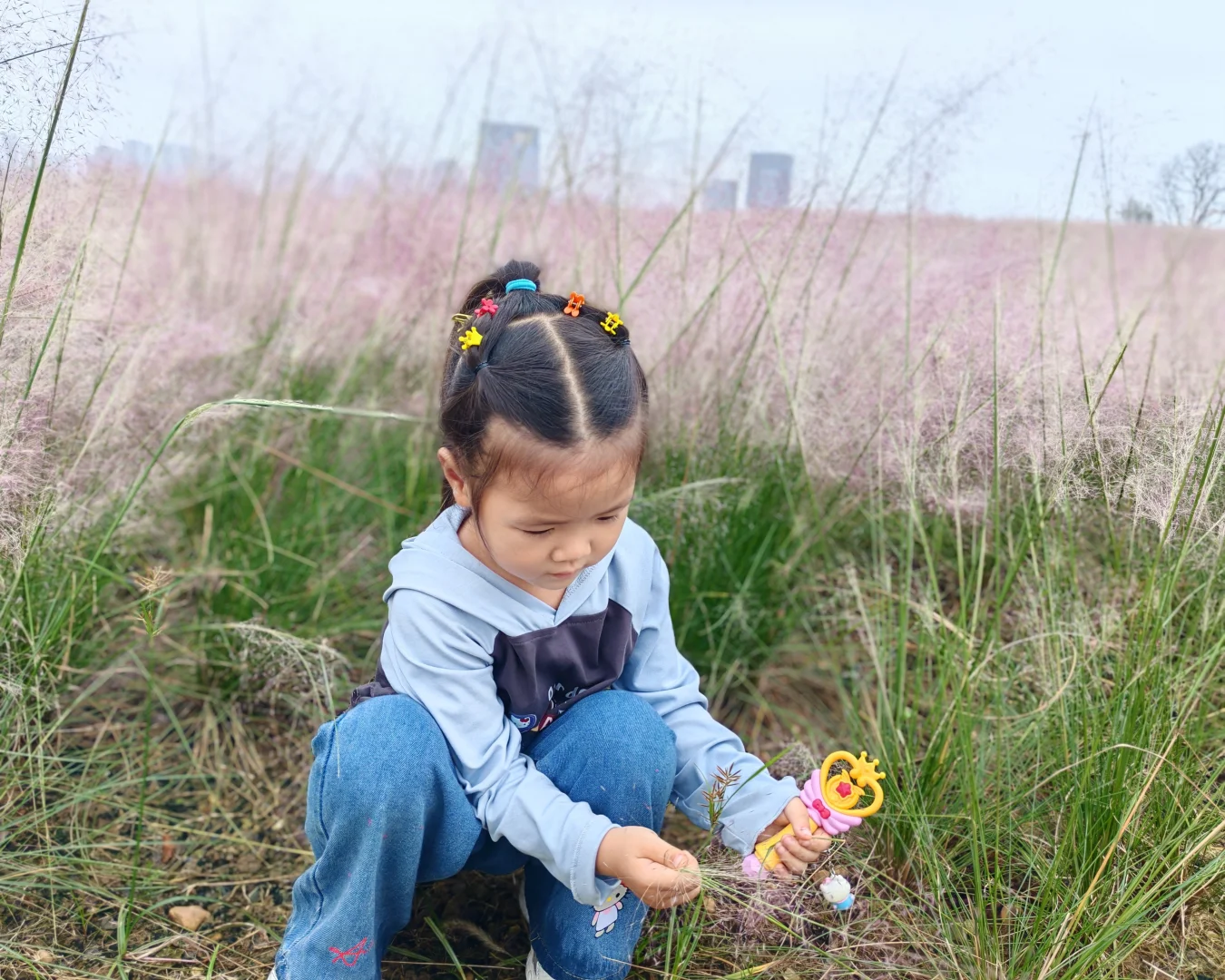 生活中的小确幸|雨后的粉黛娇艳欲滴