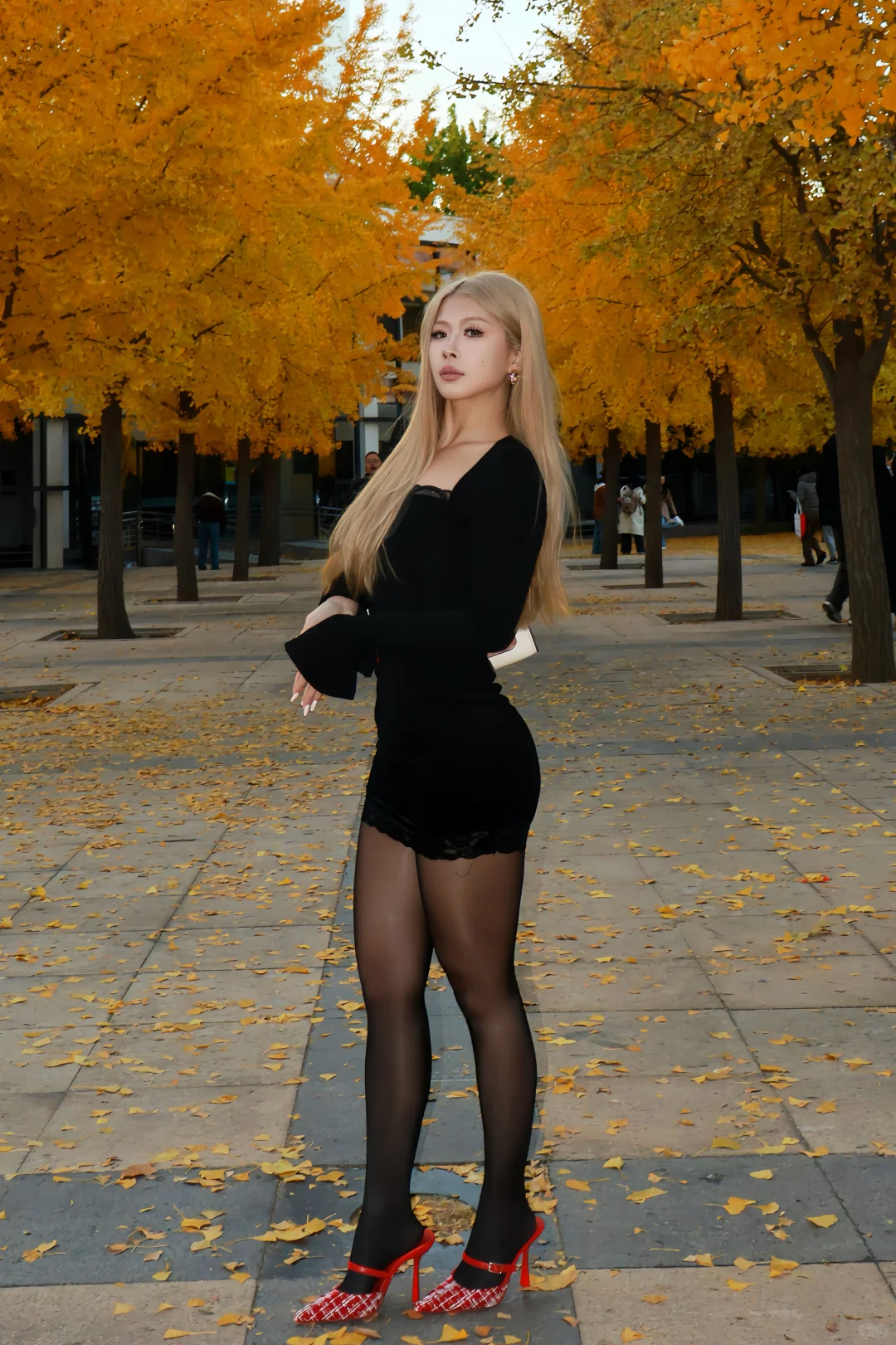 北京的秋天是金色的