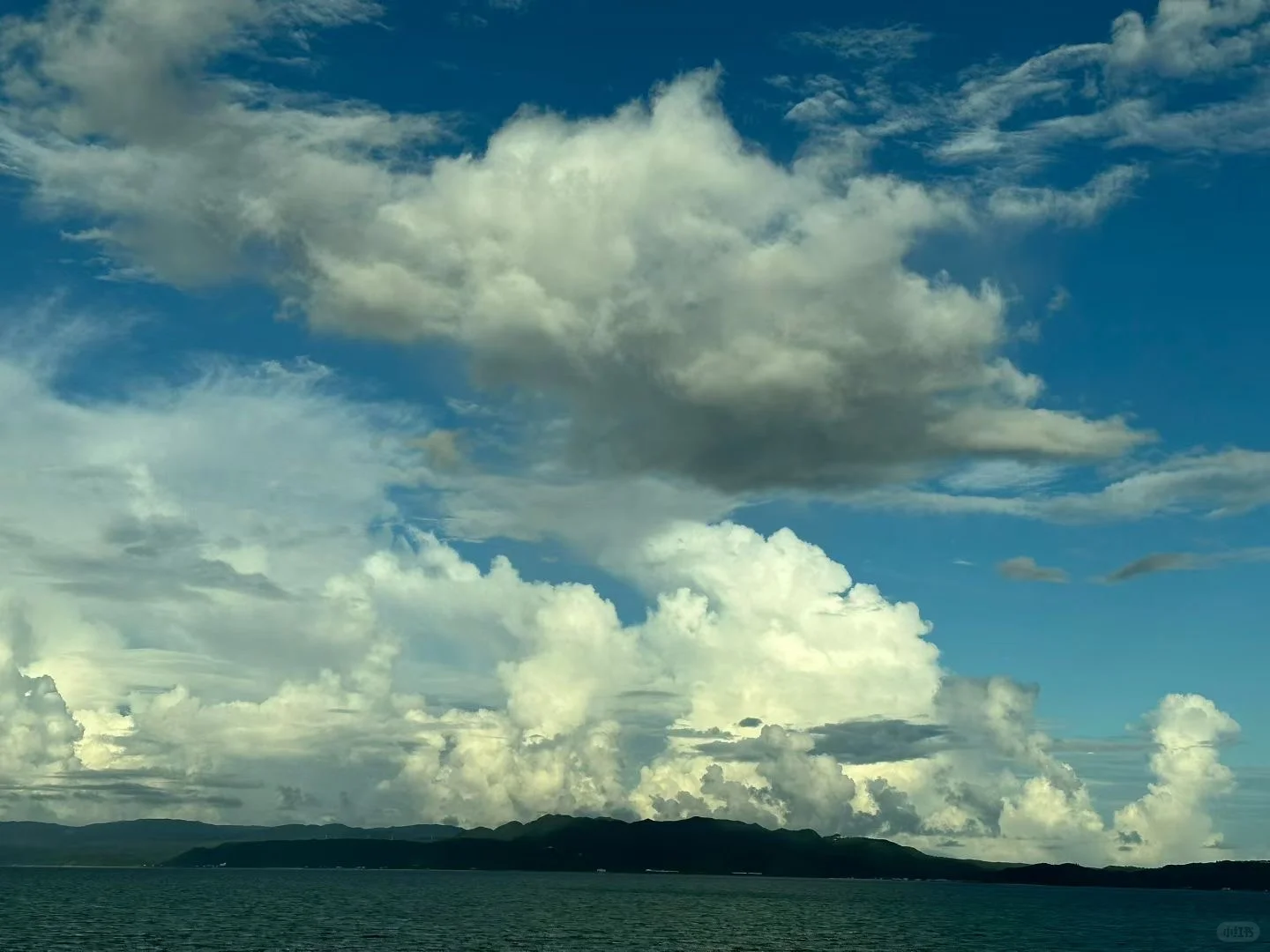 🏝️🐶🐱 不会游泳的两个人去了海边🌊