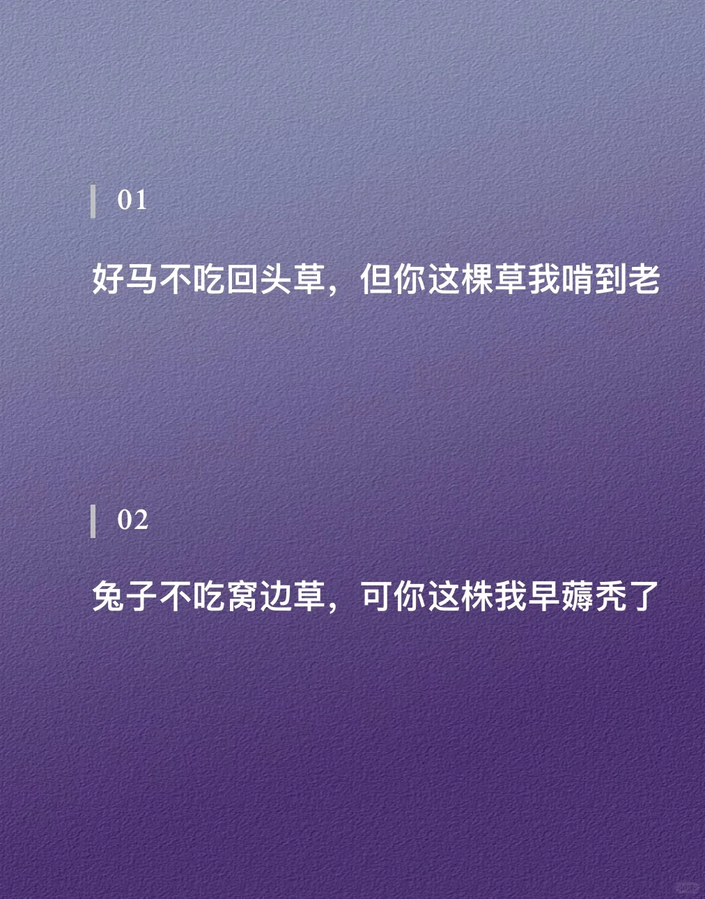 国学谚语改写，撩人后劲十足