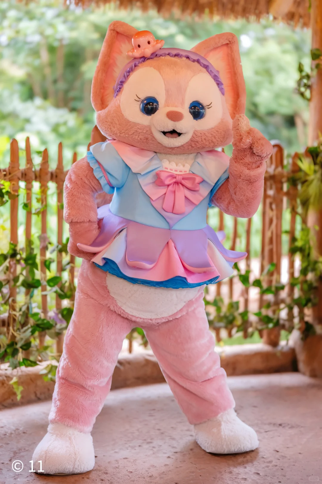 本狐是最性感的🐙🐙