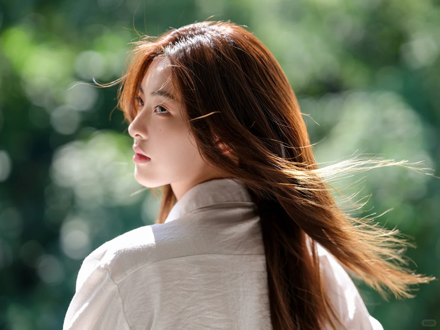 写真作品 | 属于我的夏日回忆