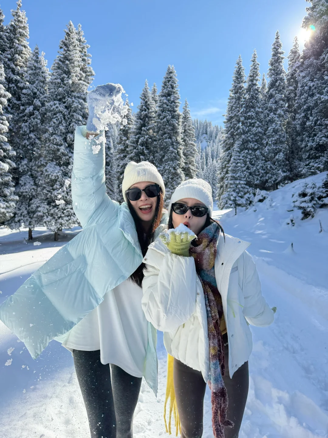 提前预习一些雪地拍照姿势 ❄️好有生命力！