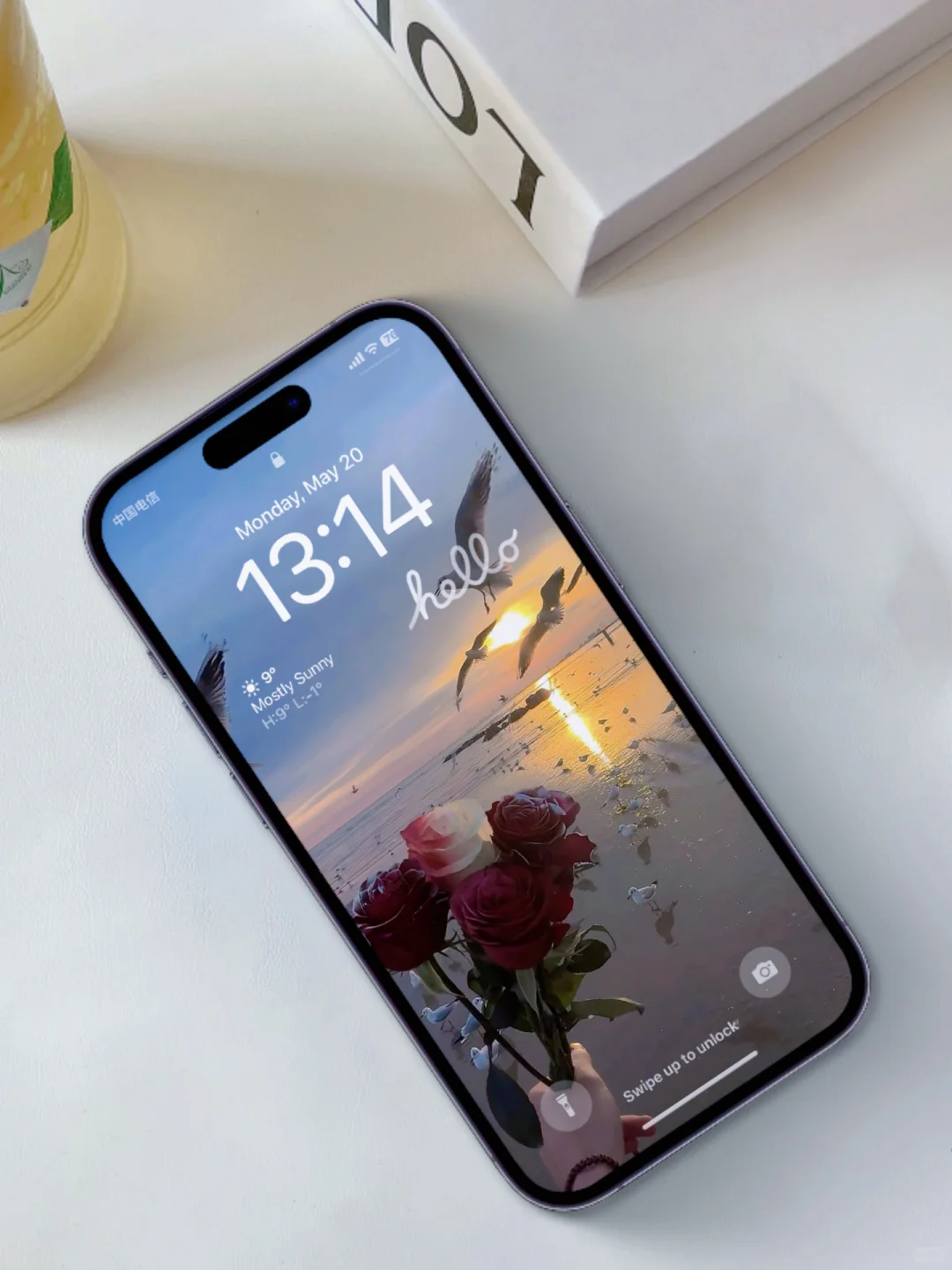 信风子动态转场壁纸