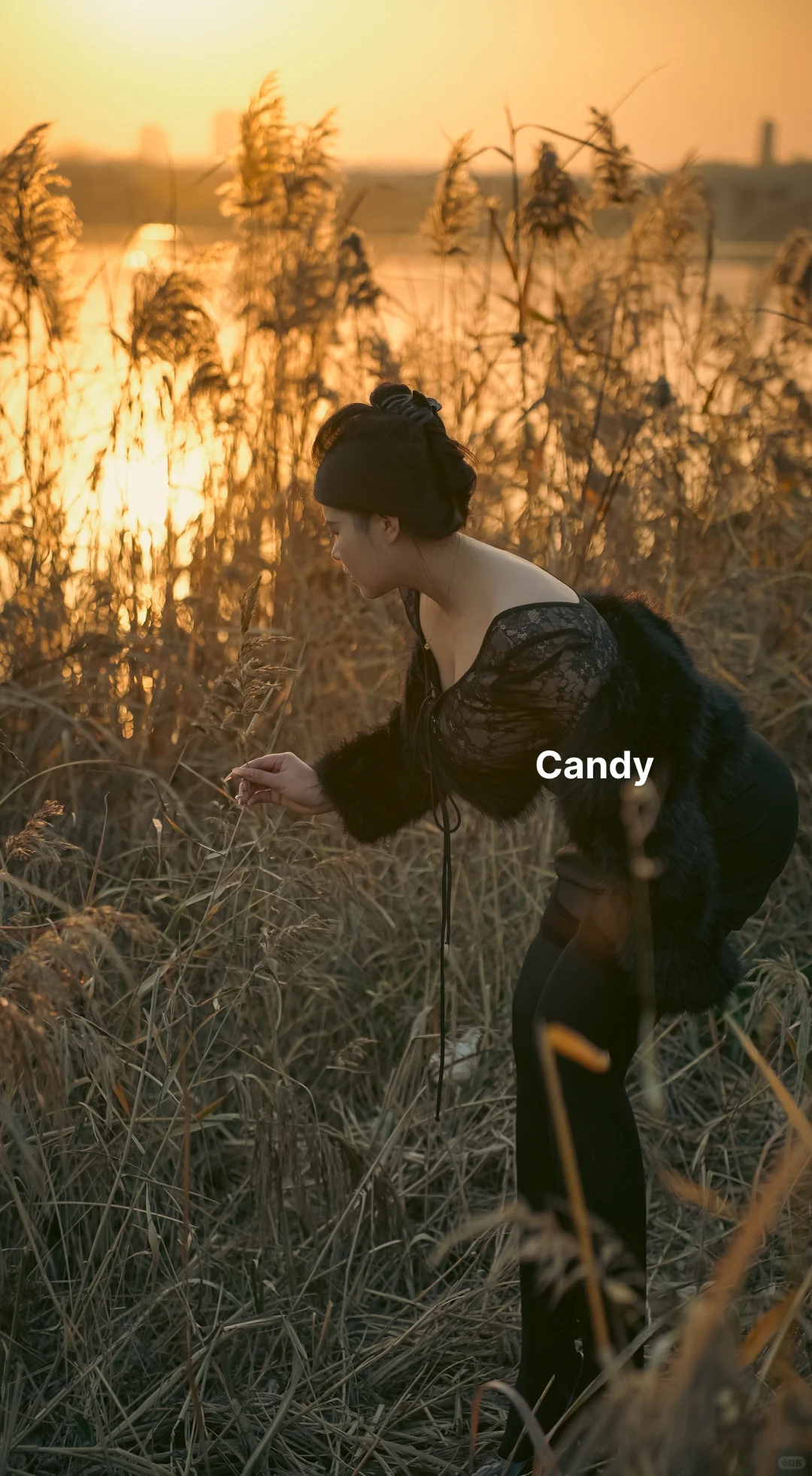 倘若南风知我意