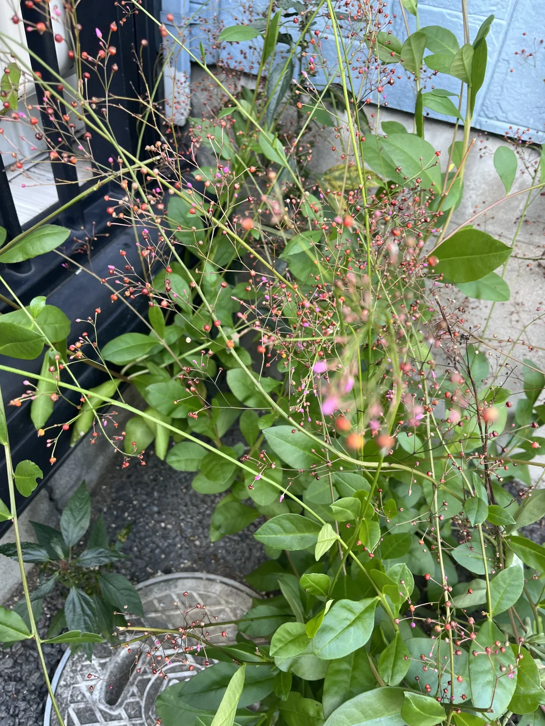 30+妈妈日常穿搭随手拍@日本