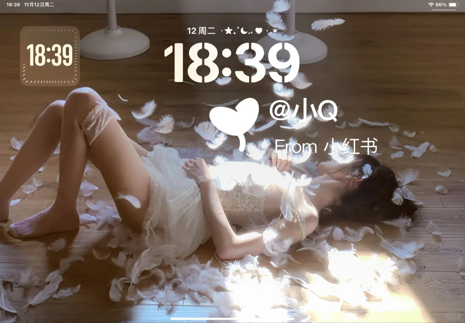 轻盈如羽 舞动芭蕾 | ipad壁纸锁屏壁纸