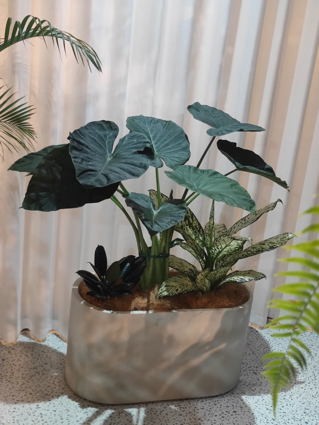 乌海森系大型花店、乌海汇林花卉园艺中心