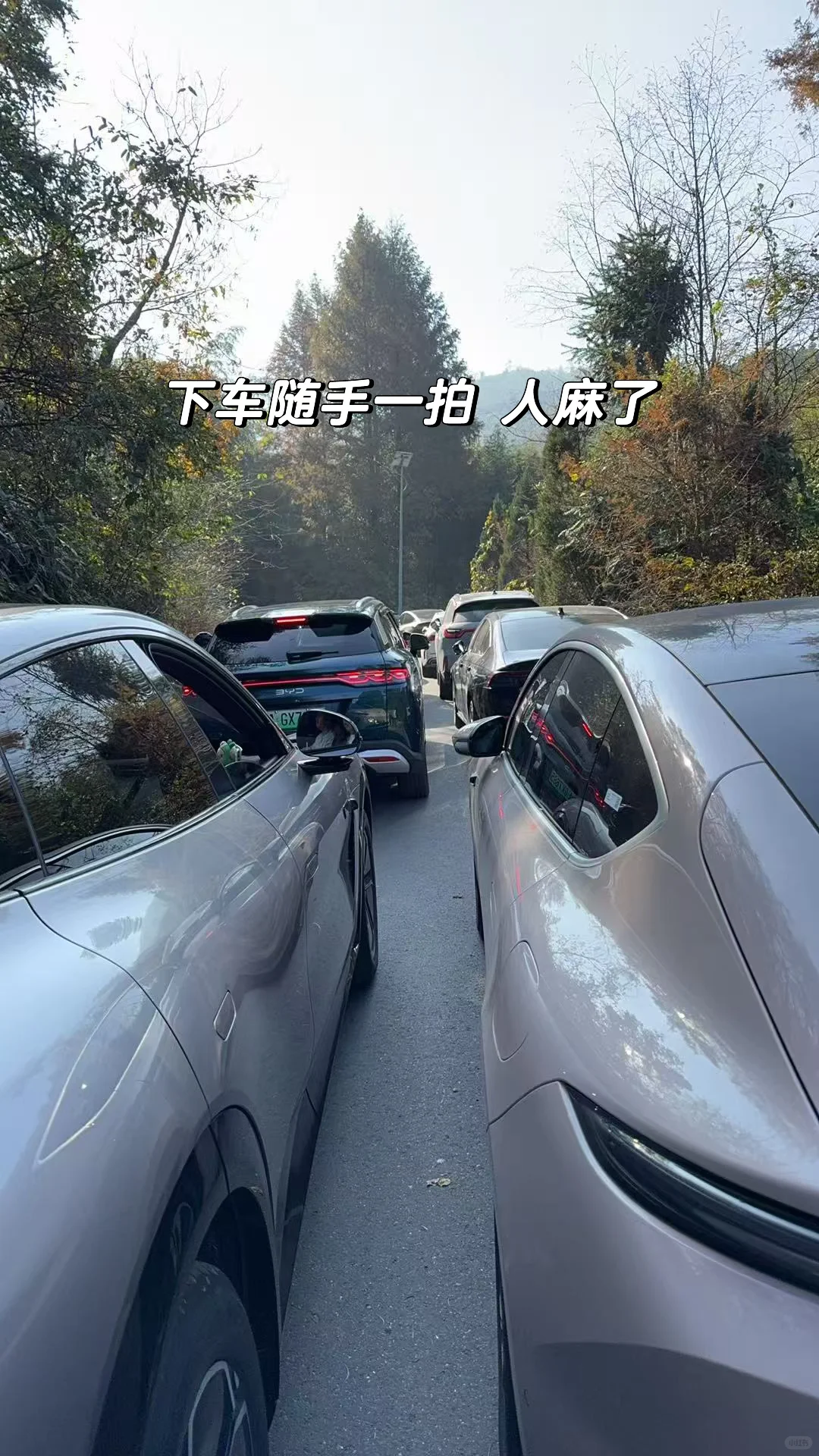 又被骗去了🙂‍↔️11月15日惨状