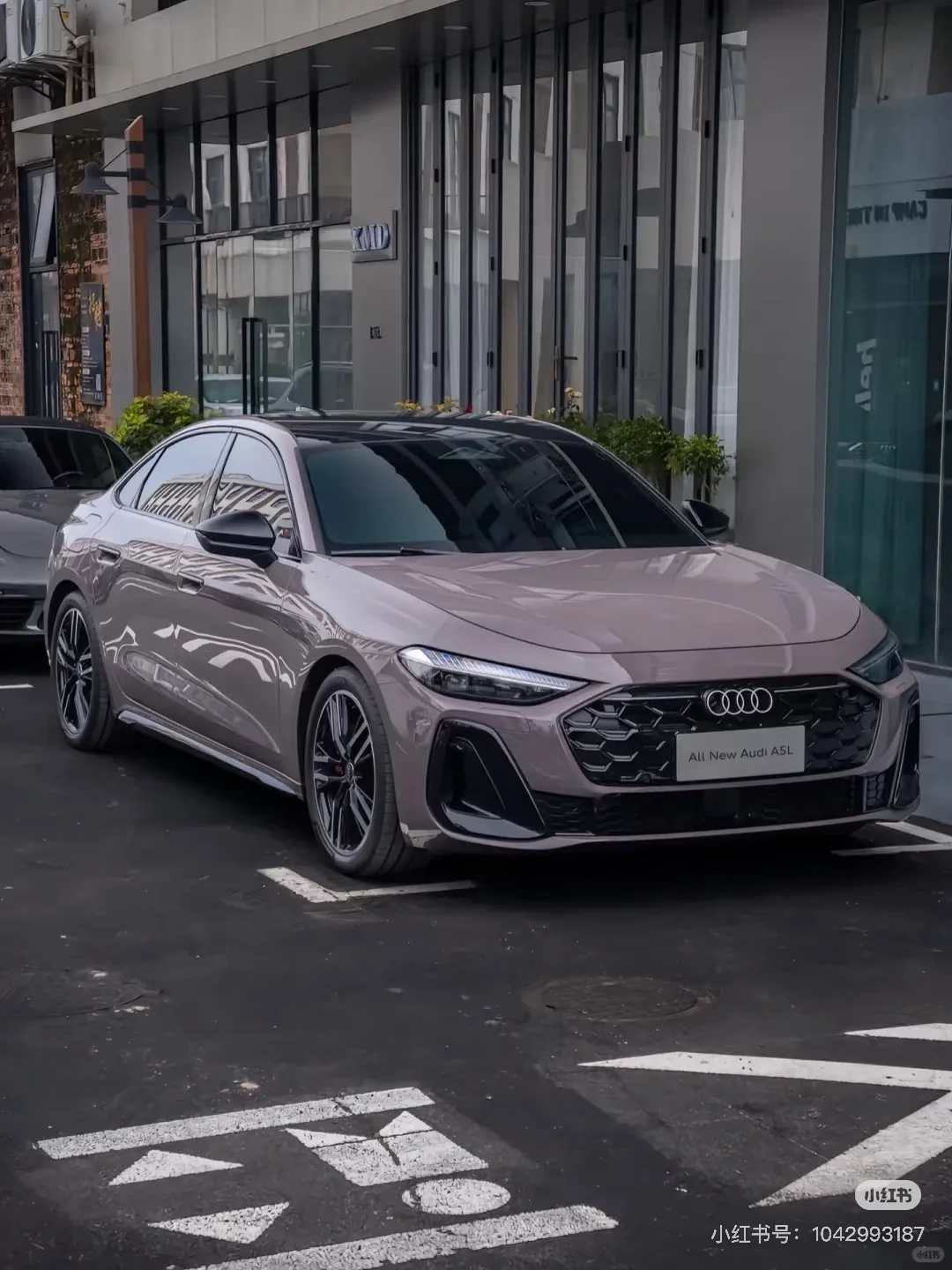 全新A5L很美、颜色齐