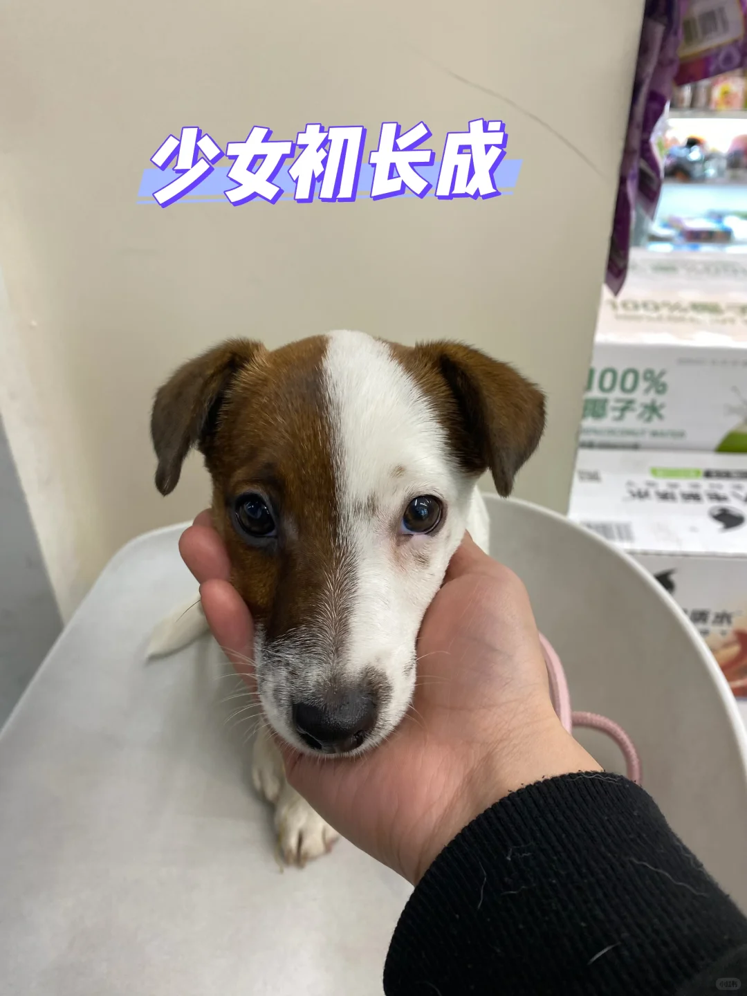 坏女孩的写真集