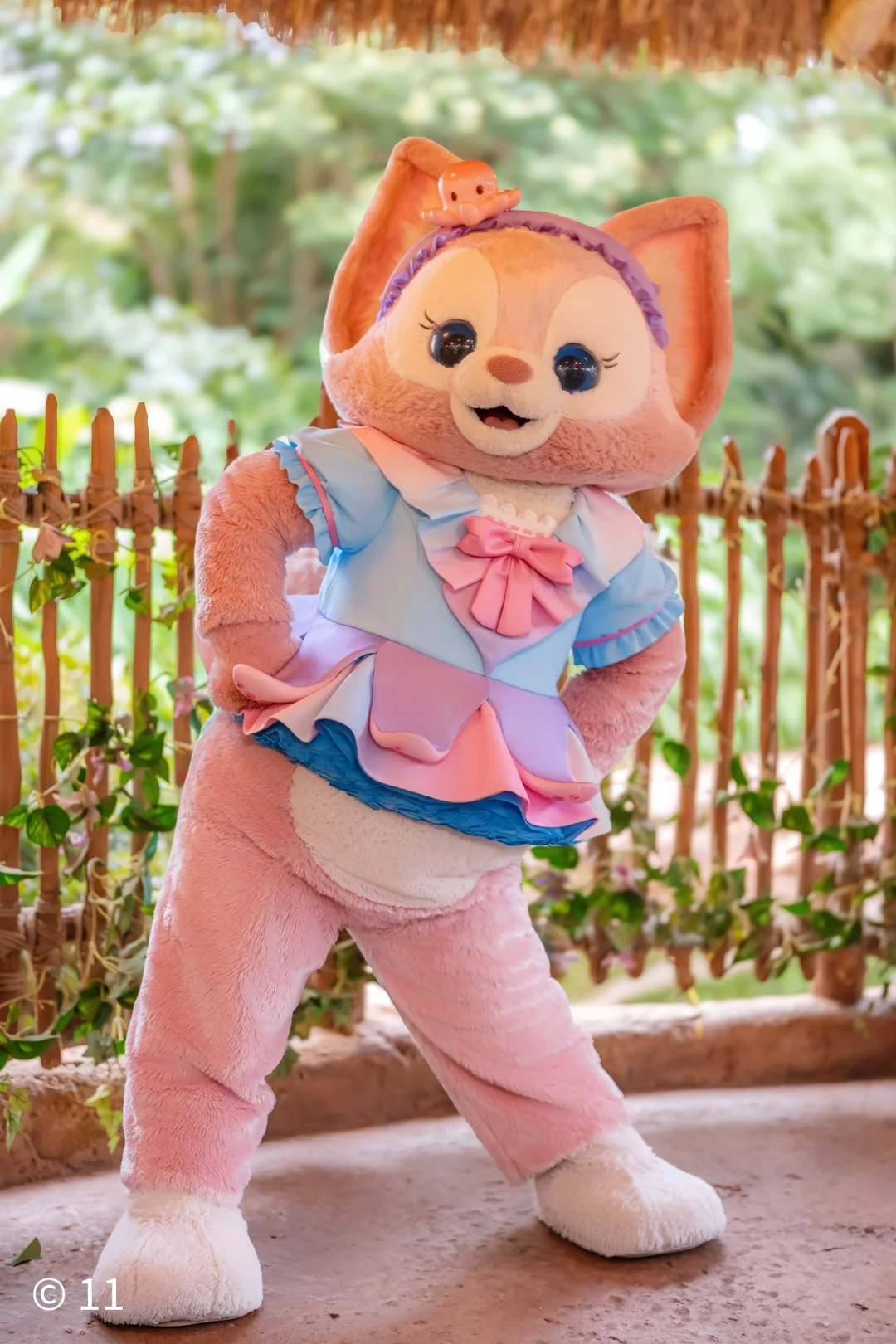 本狐是最性感的🐙🐙