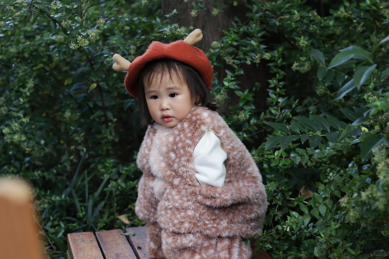 100组写真 第8组