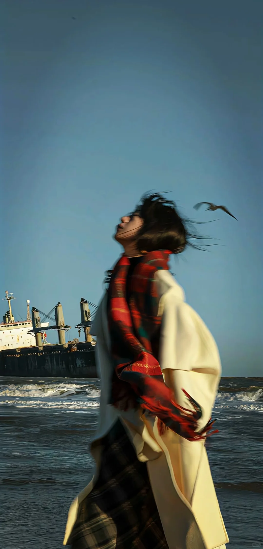 手机没电也要换的手机壁纸🌞