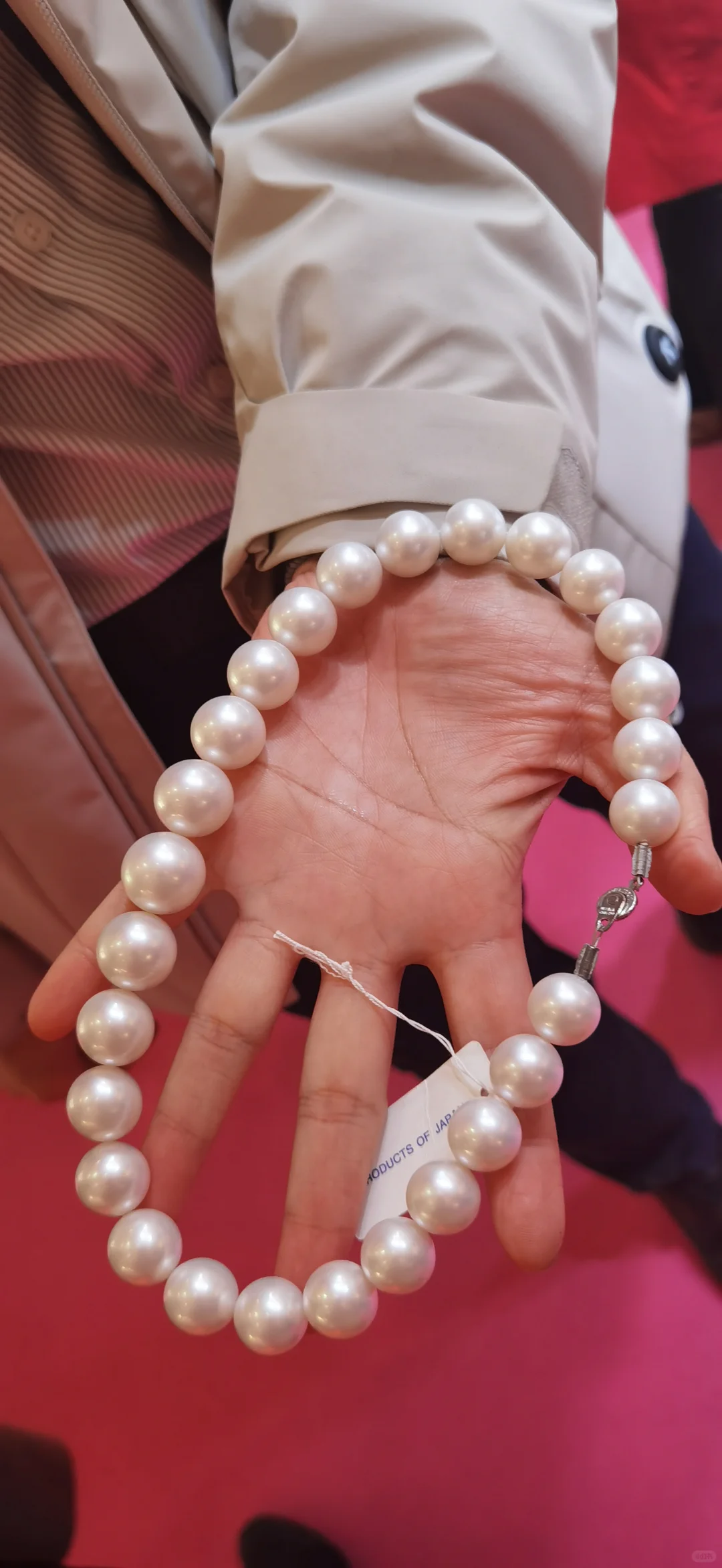 澳白，维纳斯？