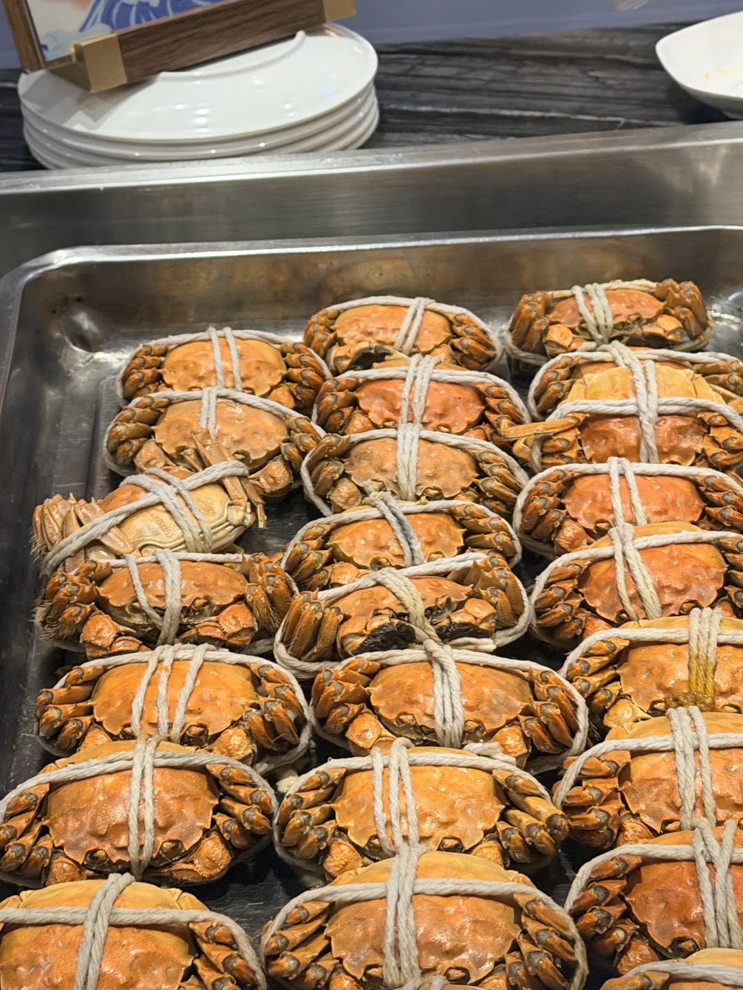 人生温泉照片get