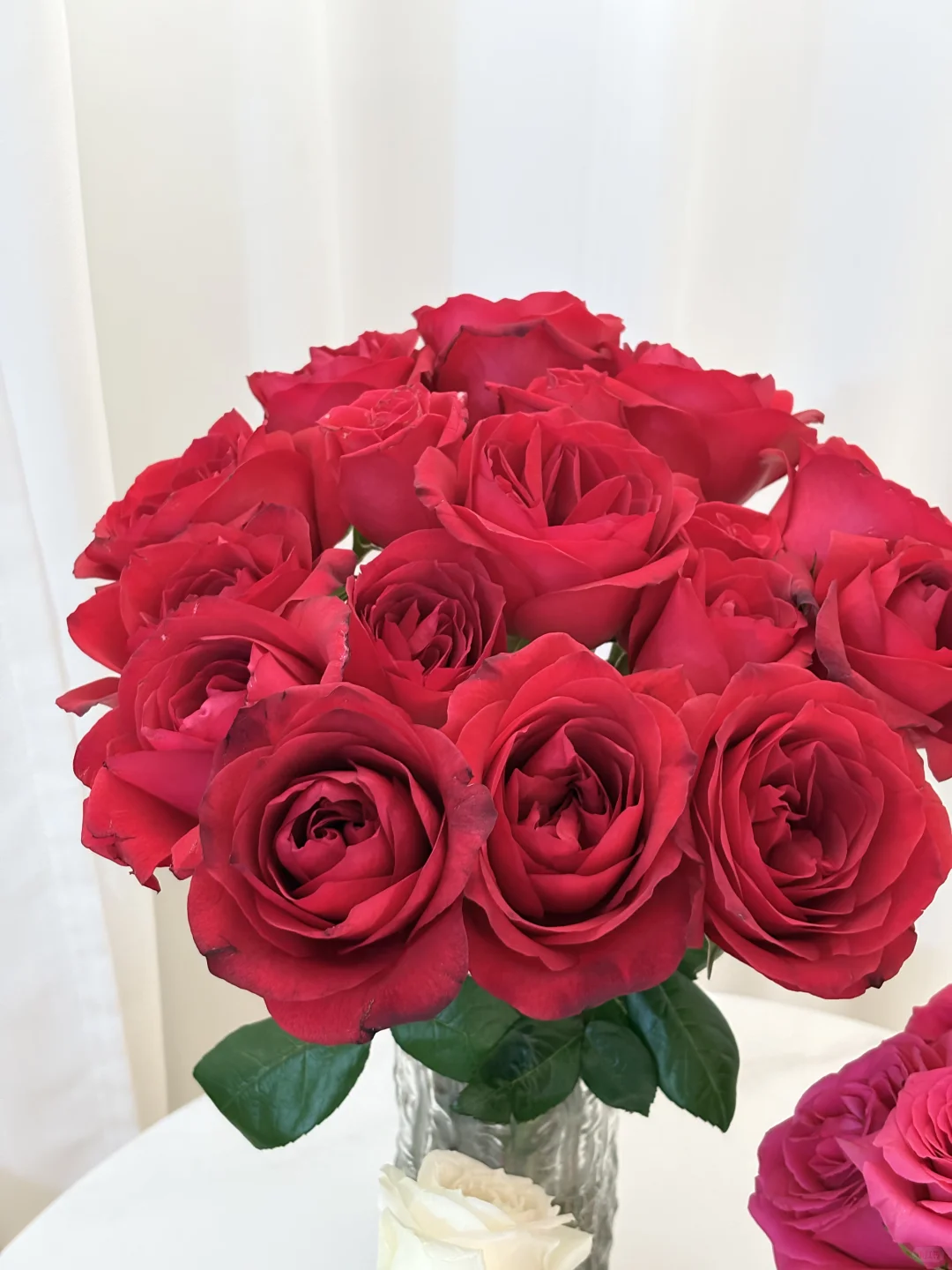 30岁中年少女未婚未育的一些日常碎片🧩