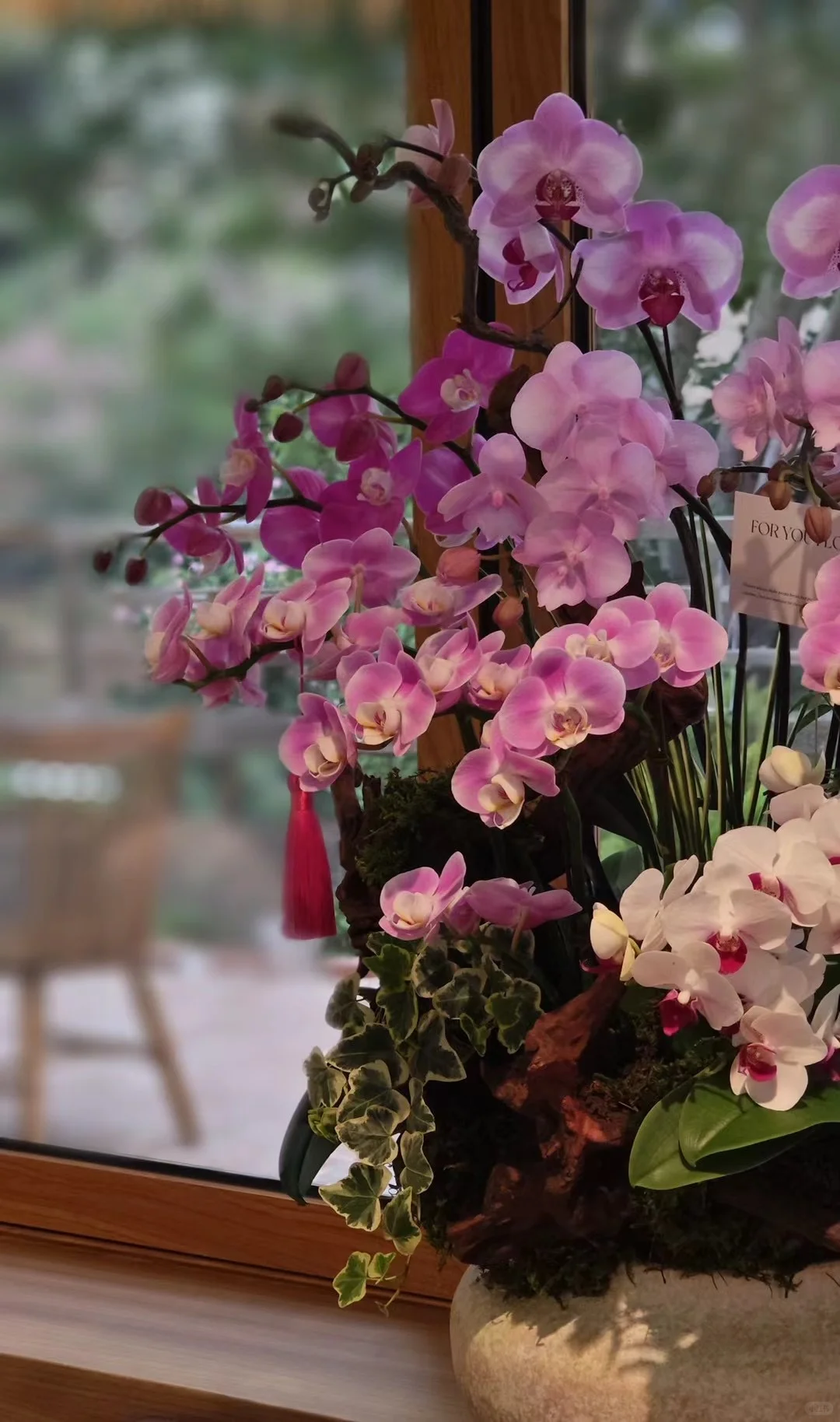 救命！这家店把圣诞浪漫焊在店里了