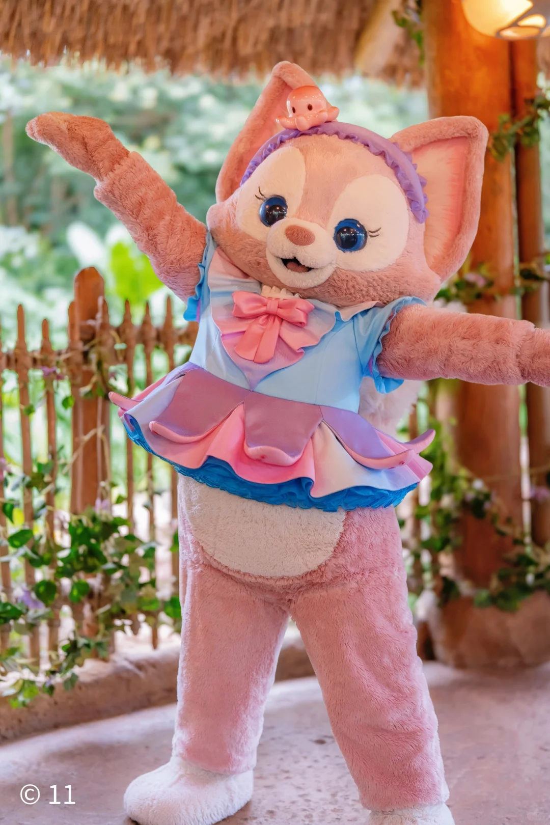 本狐是最性感的🐙🐙