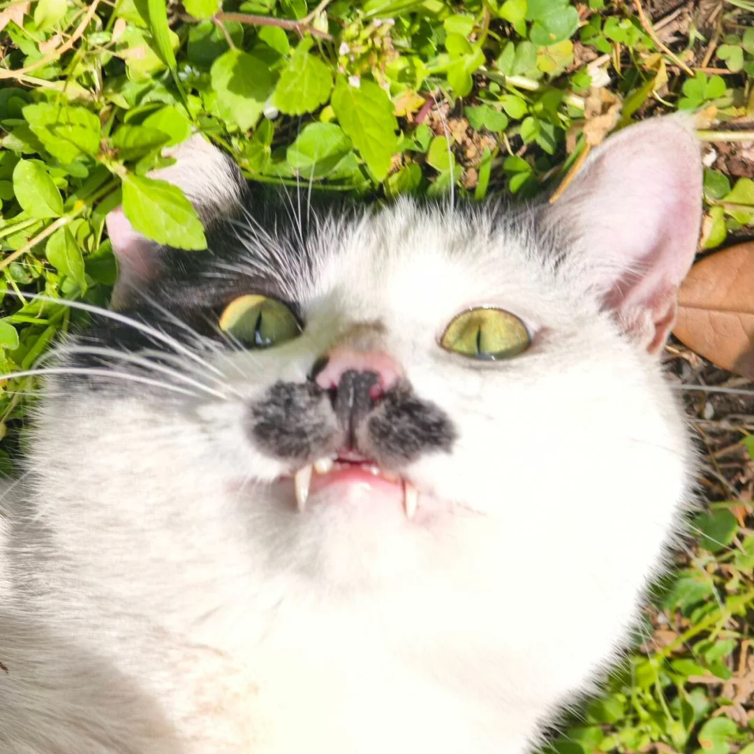 男明星私房照公开