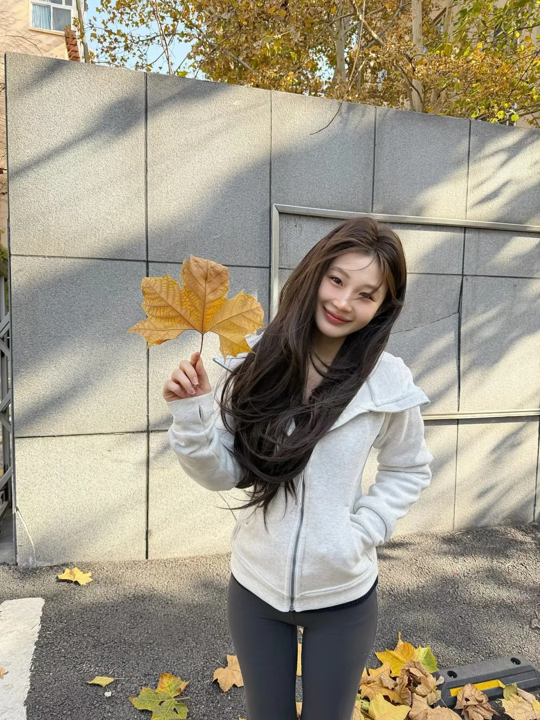 「北京秋日｜小区楼下的私房预热」📷