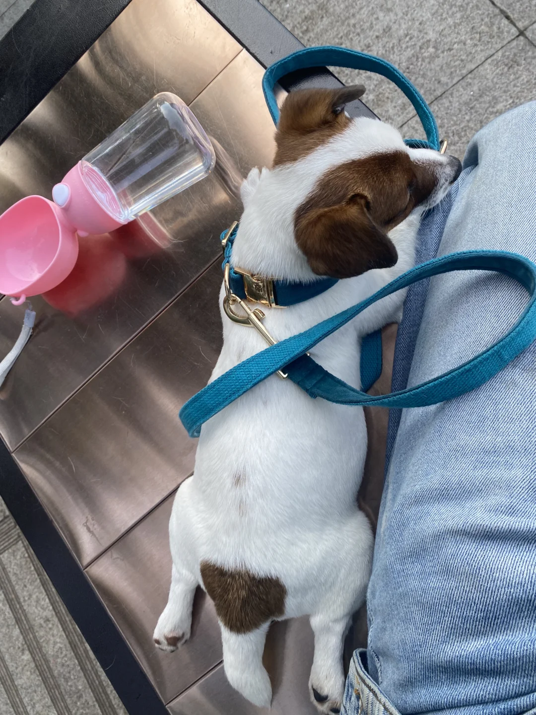 坏女孩的写真集