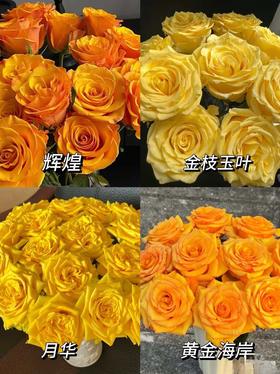 没有女生能拒绝！这几种玫瑰美到心尖发颤！