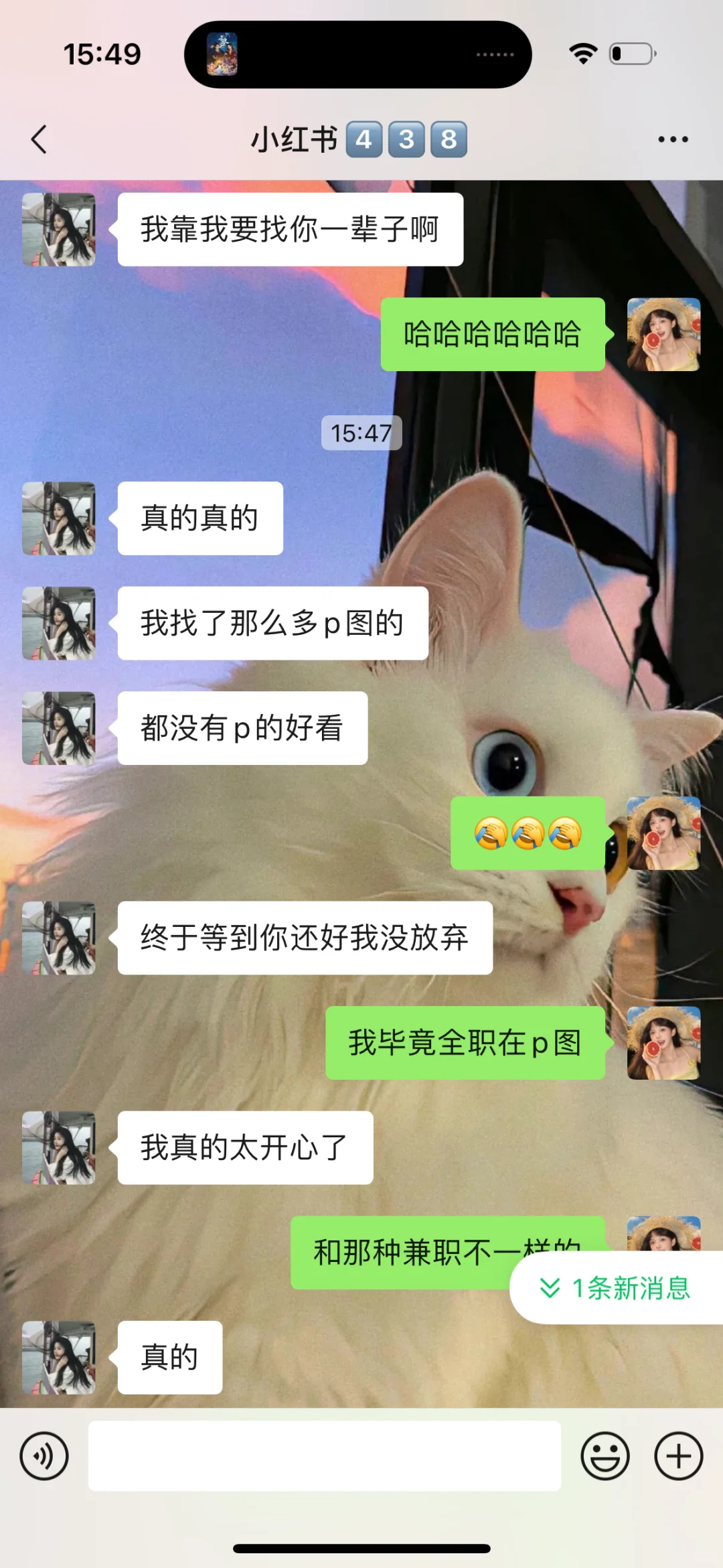 p图全是技巧没有感情！