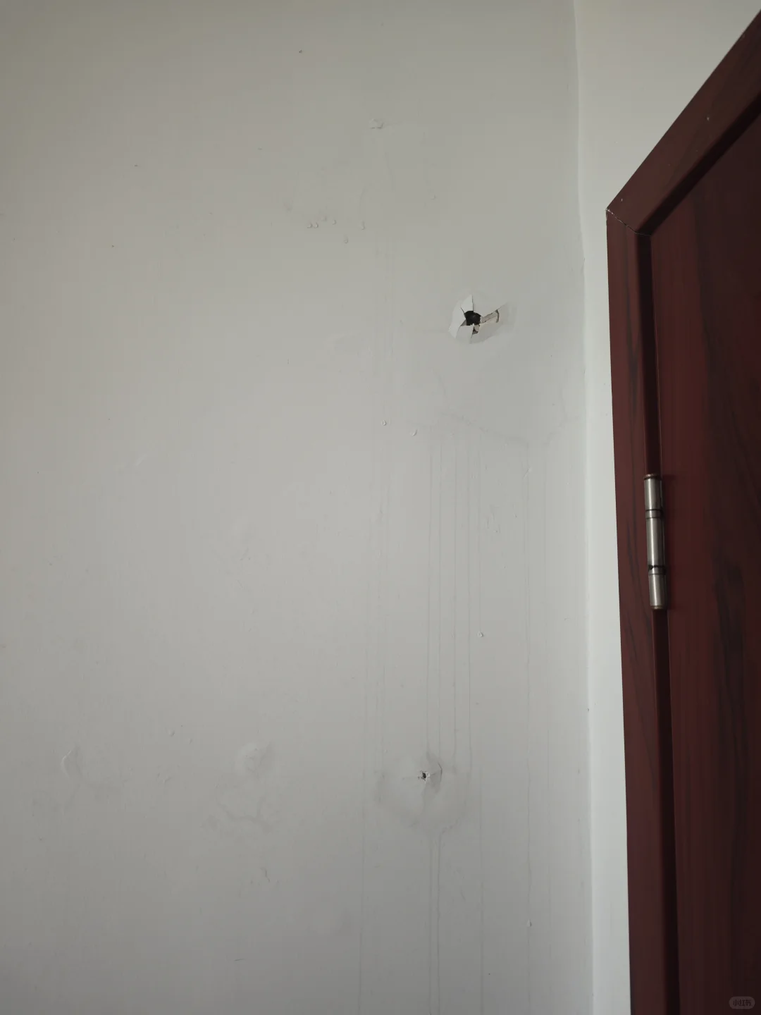 这是墙里长了啥