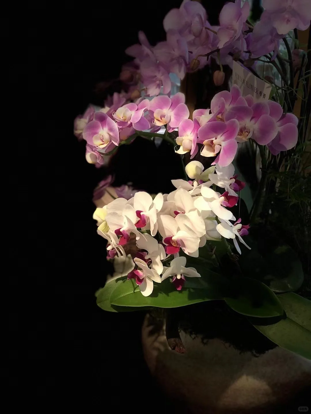 救命！这家店把圣诞浪漫焊在店里了