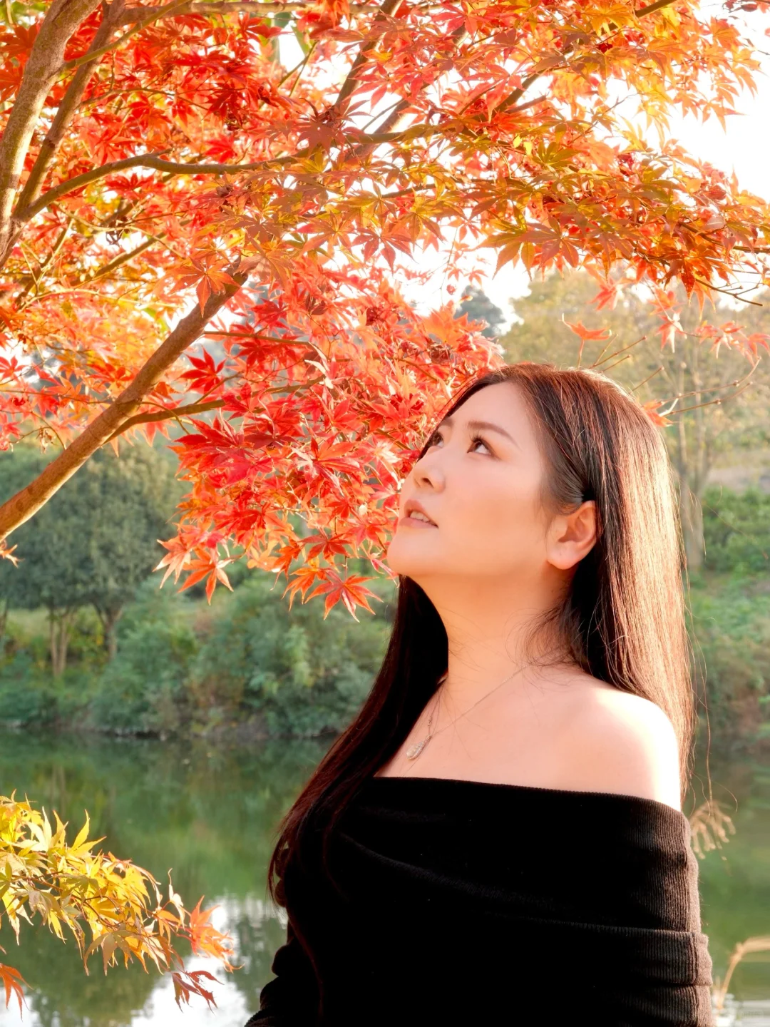 意外发现一棵宝藏红枫，独家美照就靠它了！