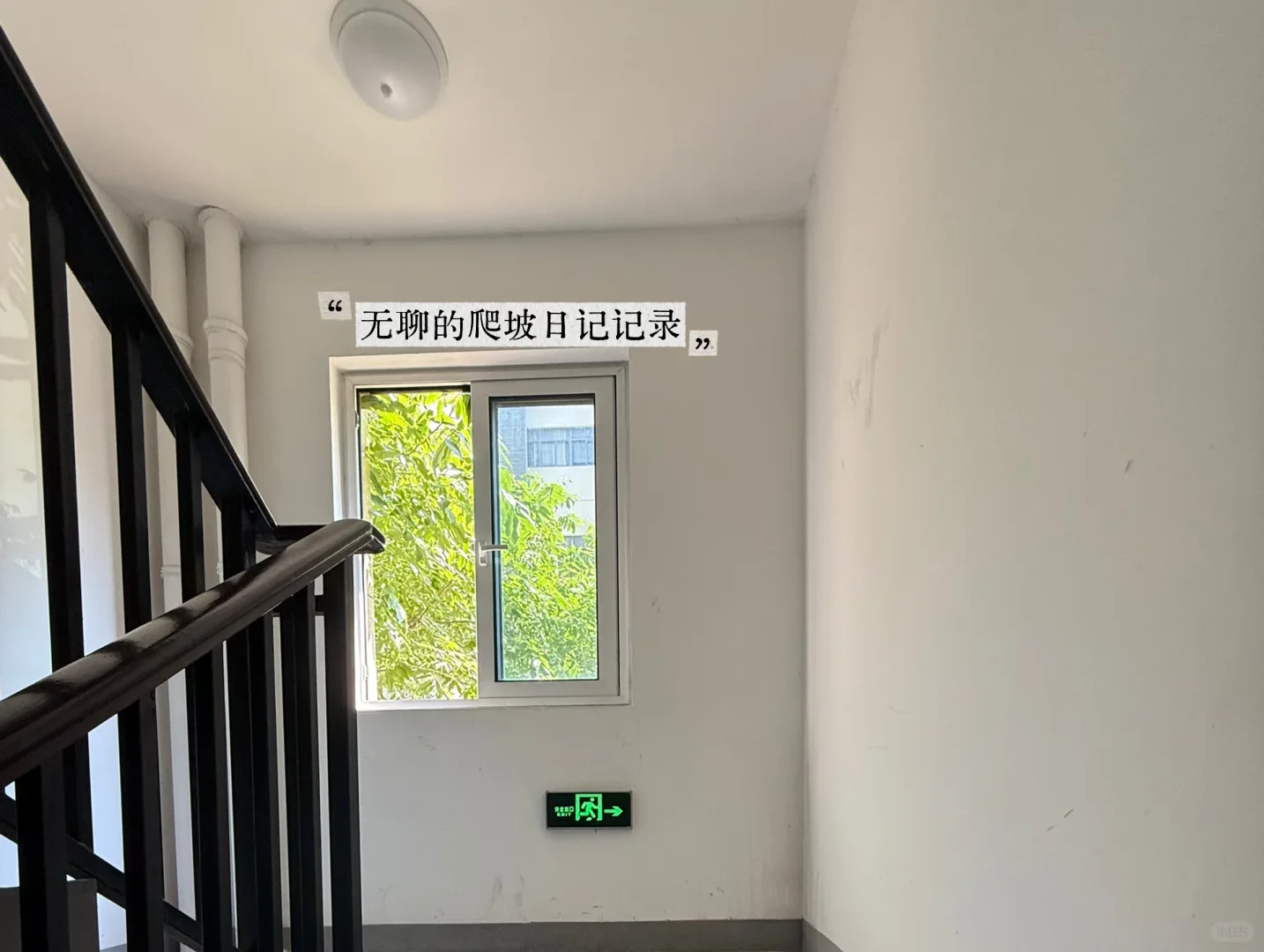 30+中女，卷不动躺不平的安慰日常