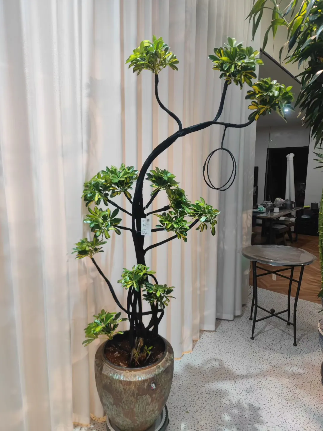 乌海森系大型花店、乌海汇林花卉园艺中心