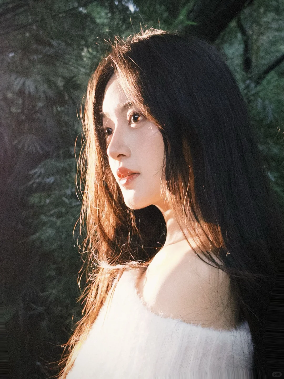 请大数据把我推给重庆的摄影师