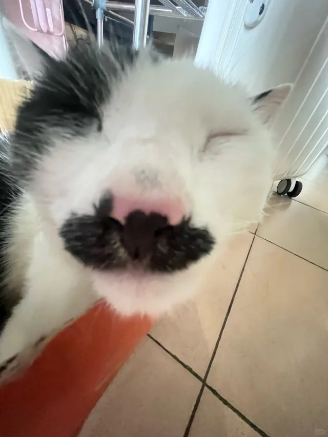 男明星私房照公开