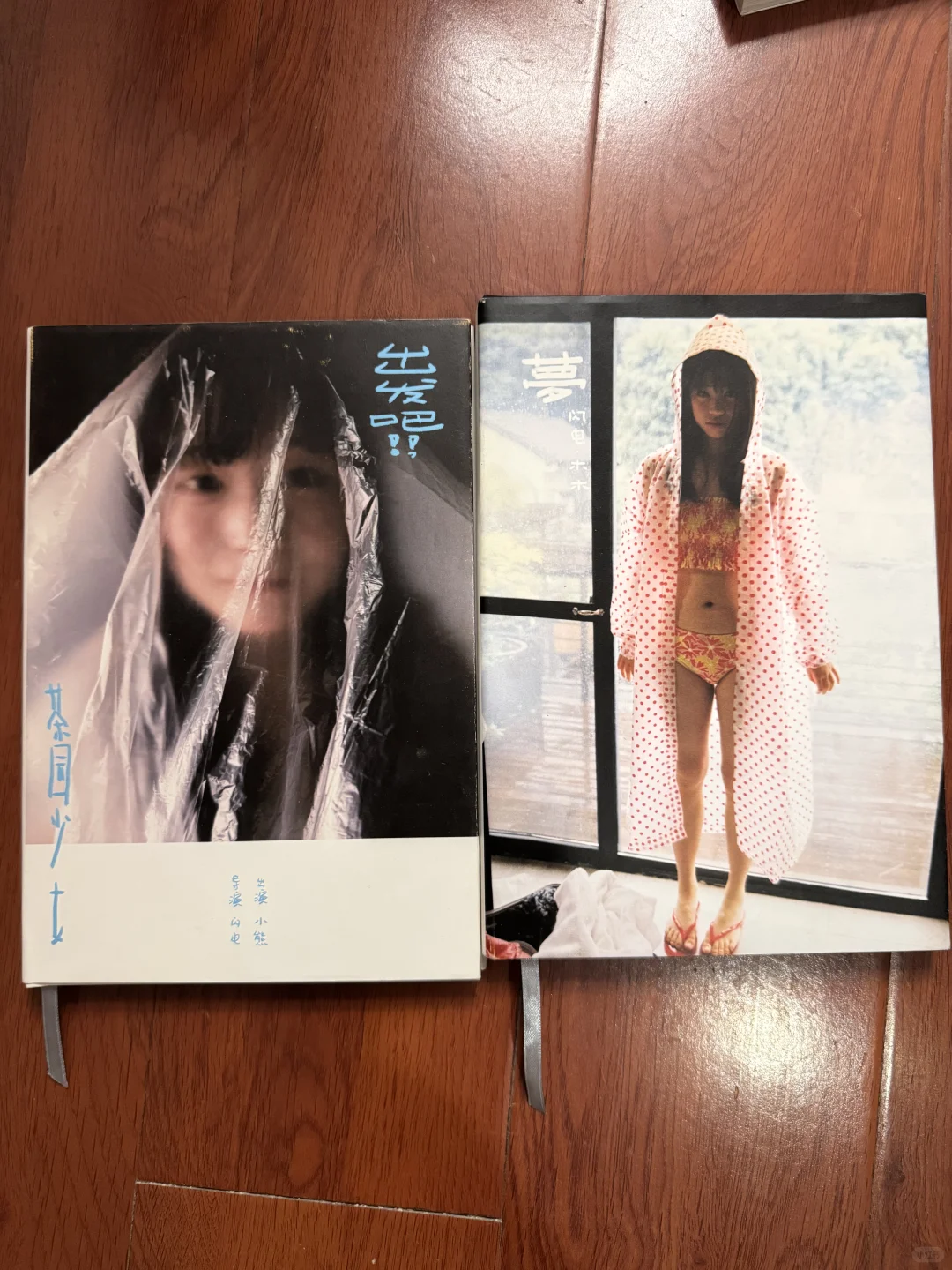 我买的一些写真集