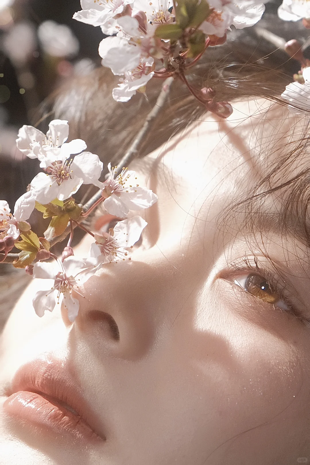 这算不算神级特写？