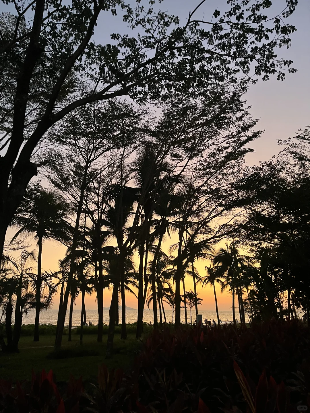 ootd之波嬉野人风在海边👣