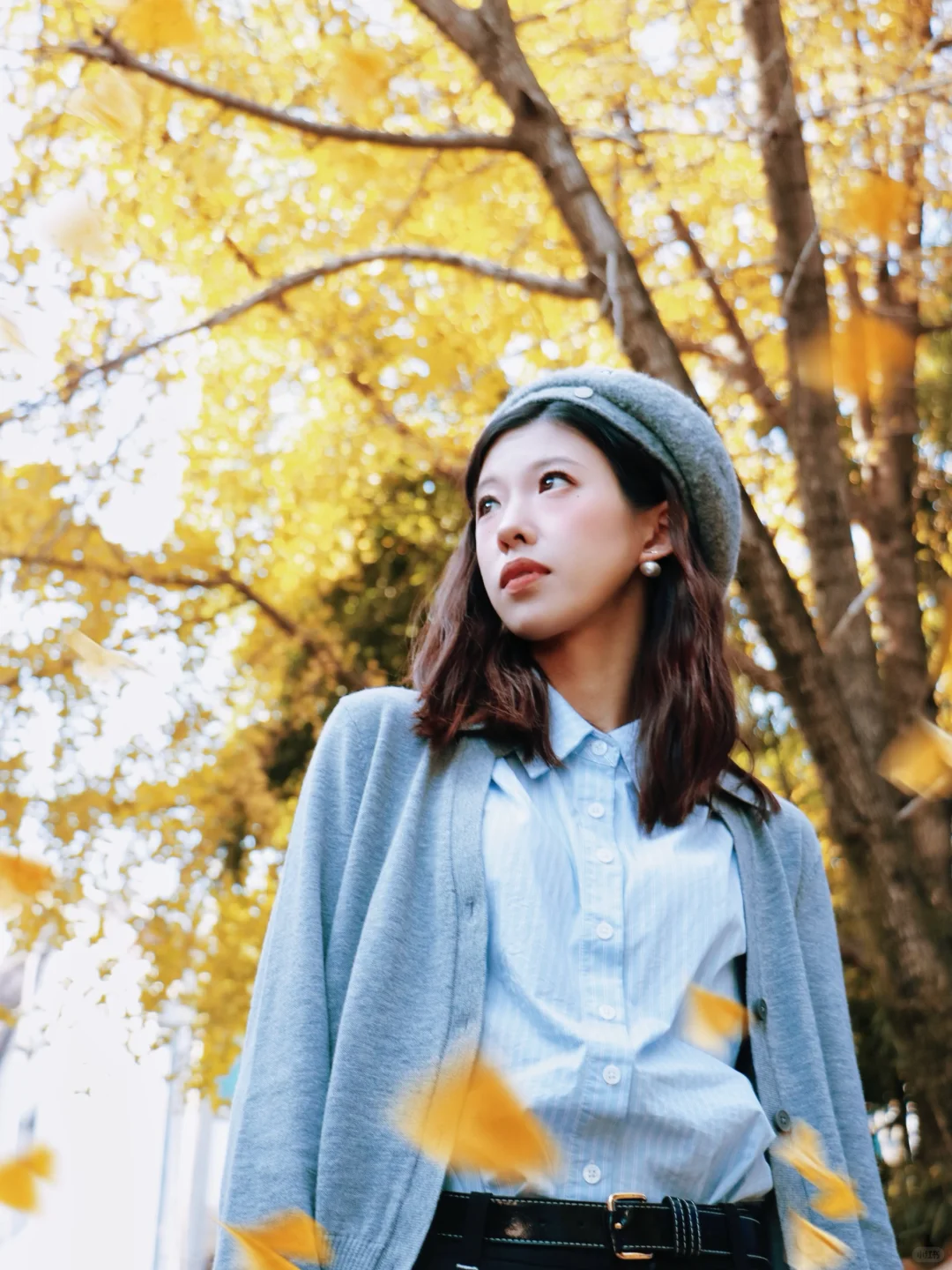 又被骗去了🙂‍↔️11月15日惨状