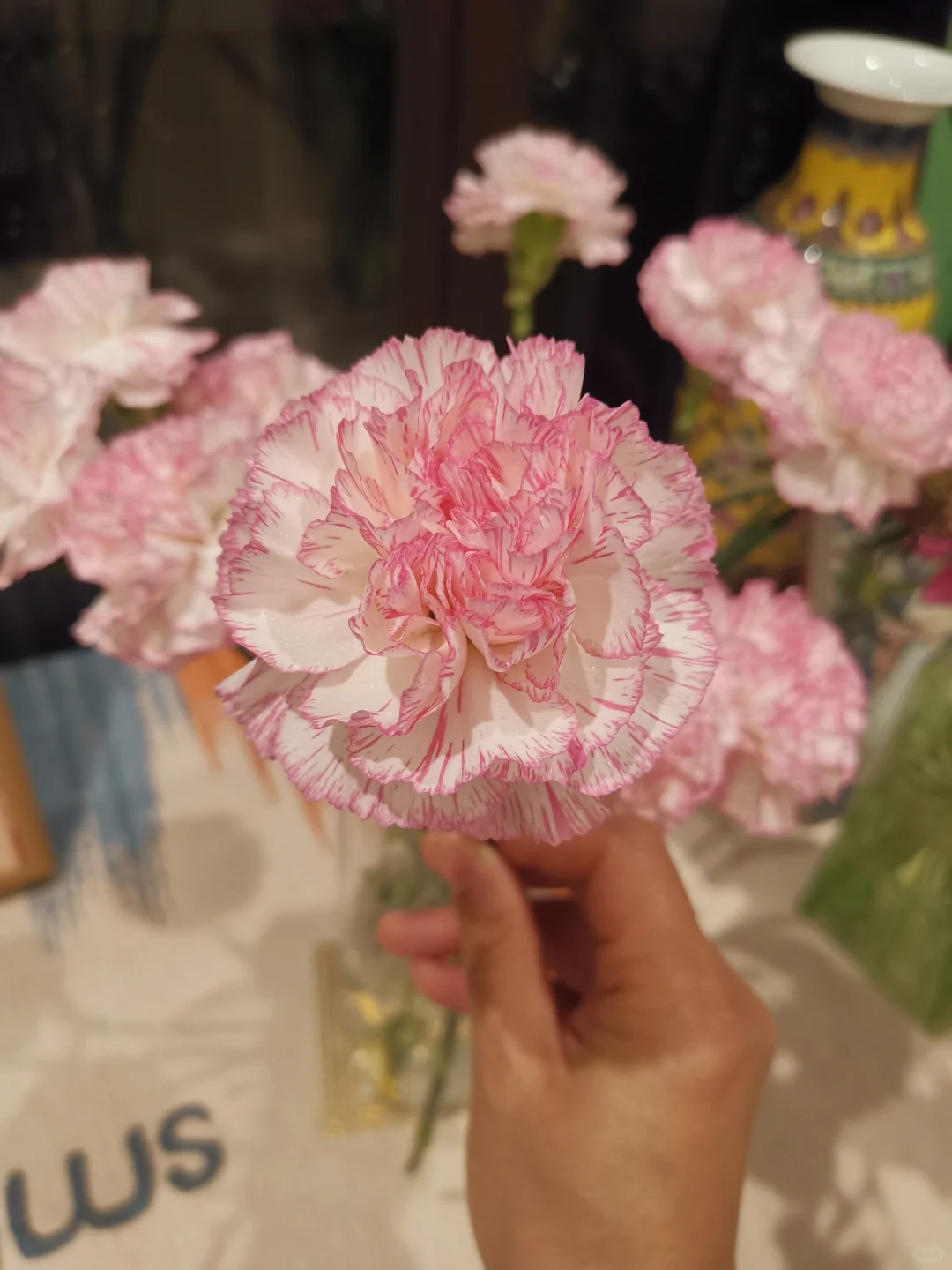 11月～第3束鲜花，娇艳玫瑰～