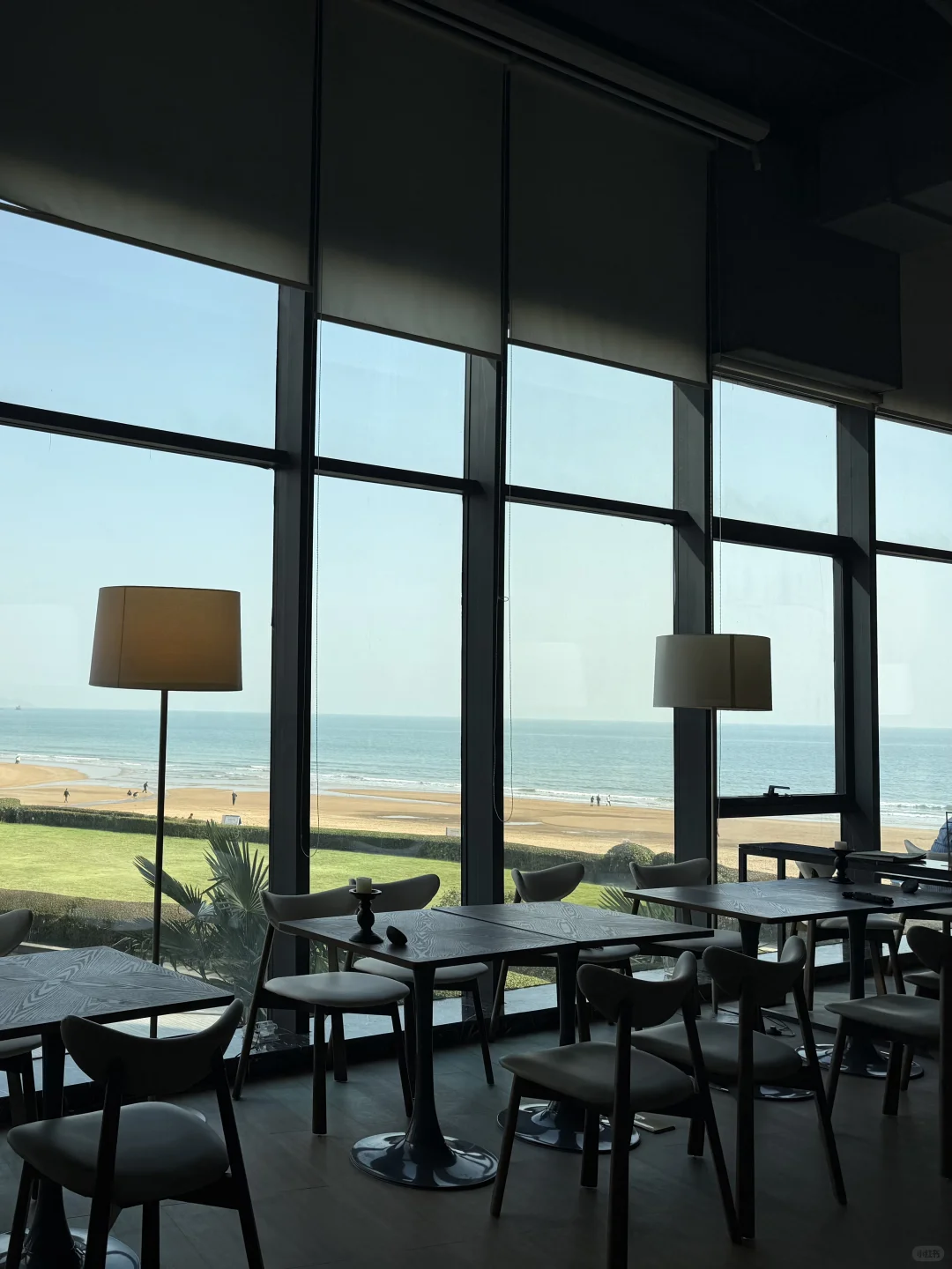 在青岛海边喝杯咖啡