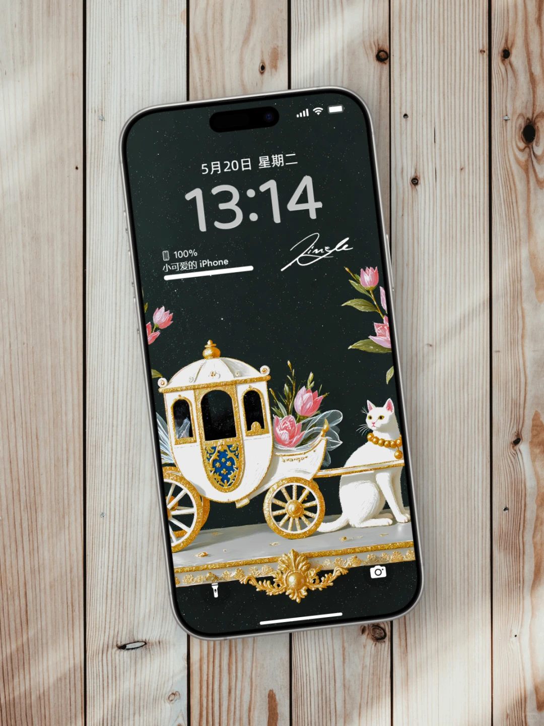 手机壁纸古早高清全屏高级|鎏金公主风|B57