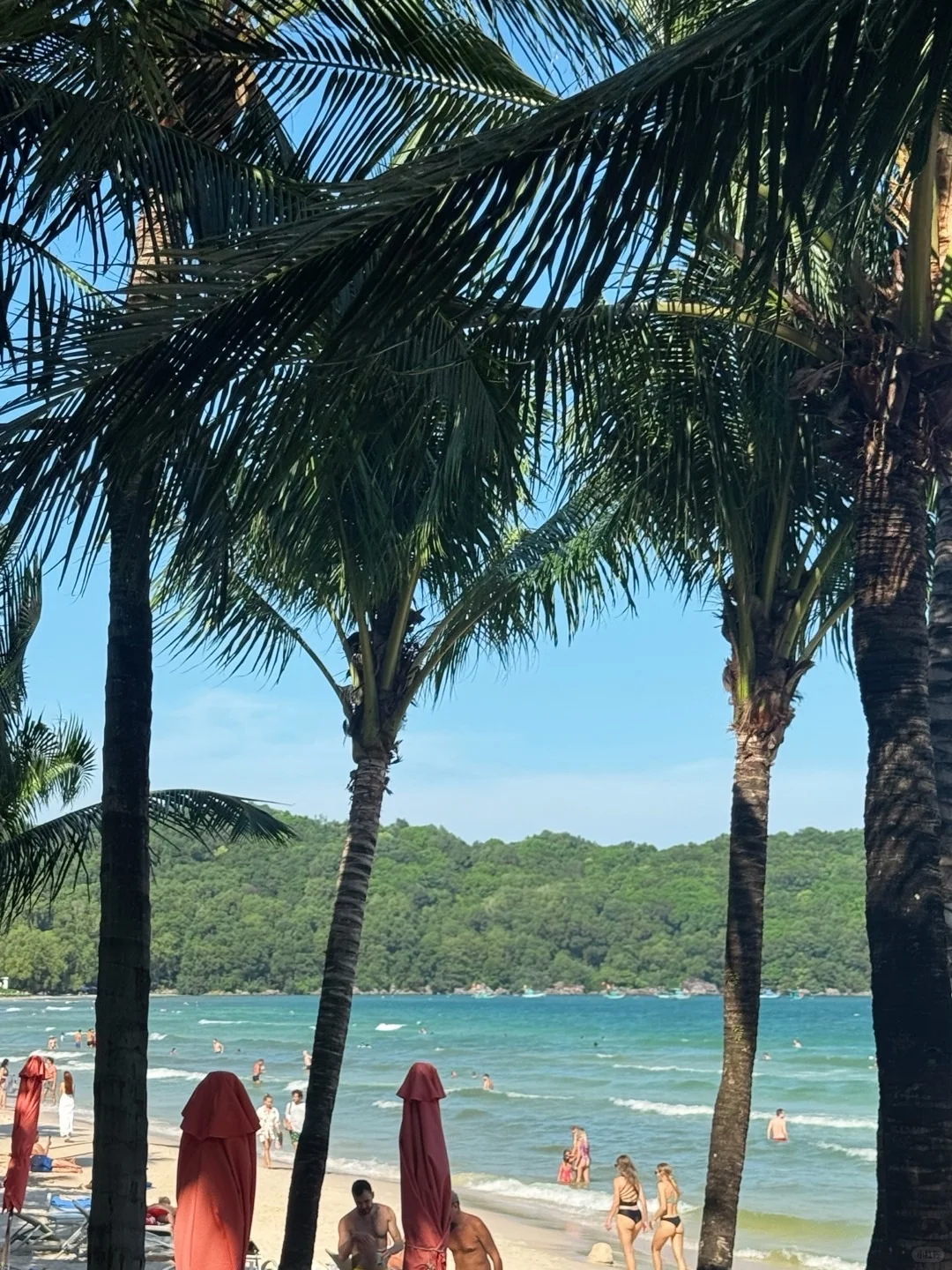 逛一下吧[跳跳][跳跳] 🇻🇳越南海邊日記