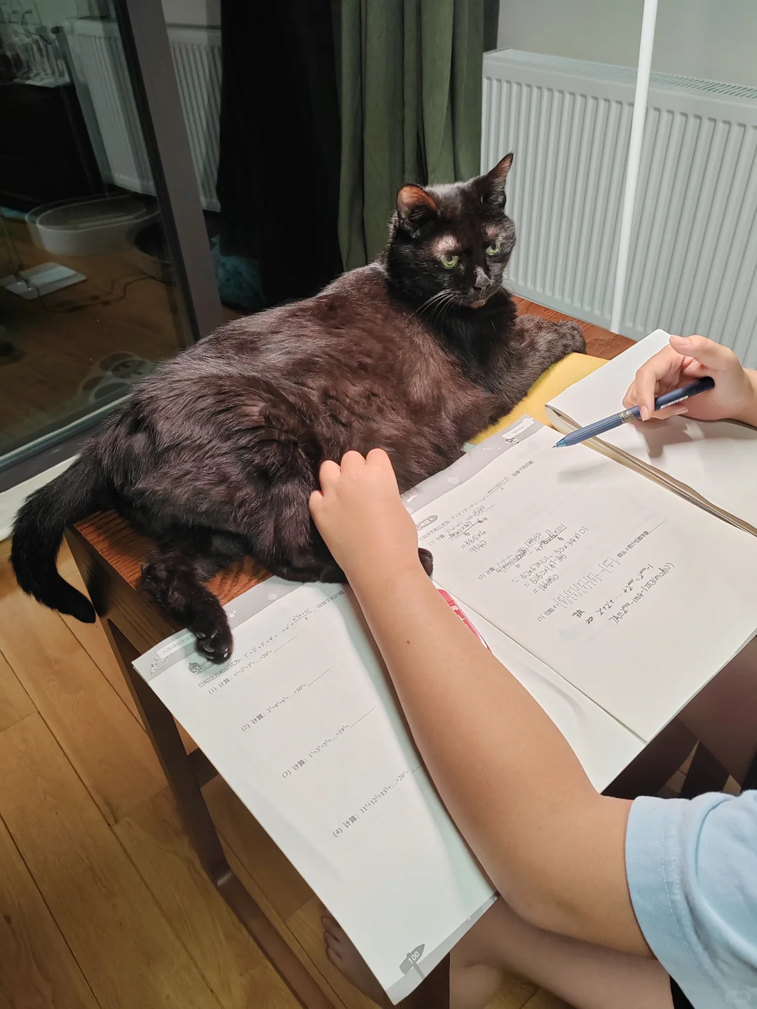 大黑离开的第七十天