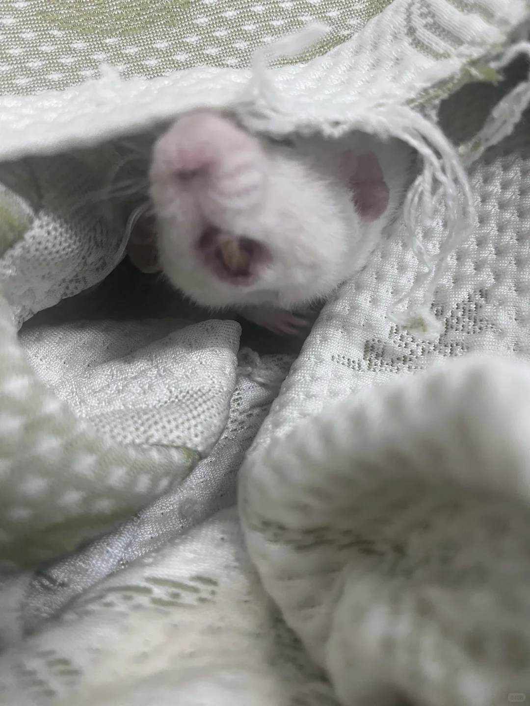 疑似顶流明星私房照流出