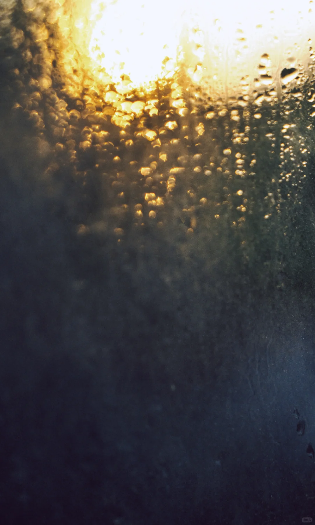 水母的坠落｜深海里的星空跌进人间